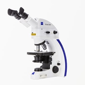 生物学显微镜图片